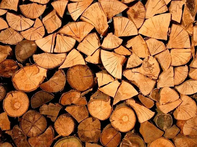 Beneficios del reciclaje de madera