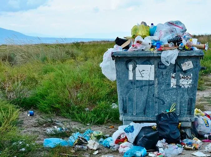 ¿Por qué reciclar papel y cartón? Beneficios