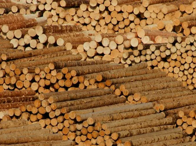 Reciclar madera: proceso y beneficios